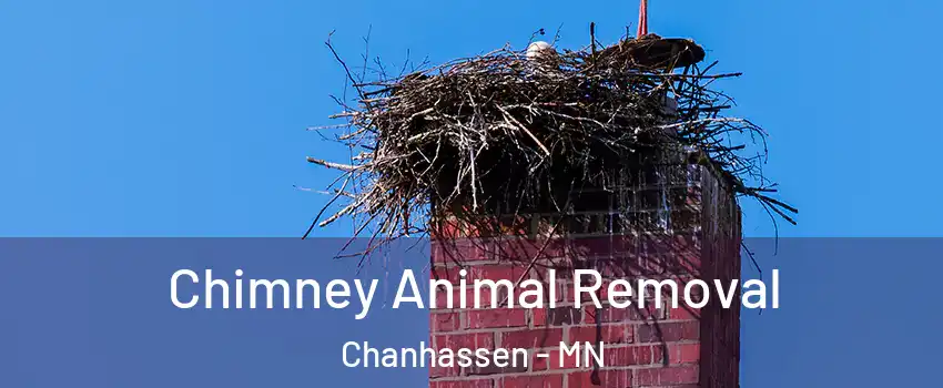  Chimney Animal Removal Chanhassen - MN