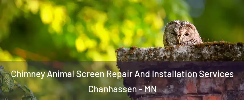 Chimney Animal Screen Repair And Installation Services Chanhassen - MN