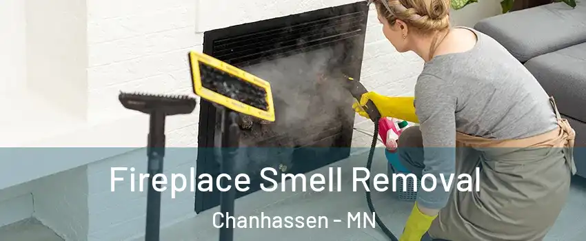  Fireplace Smell Removal Chanhassen - MN