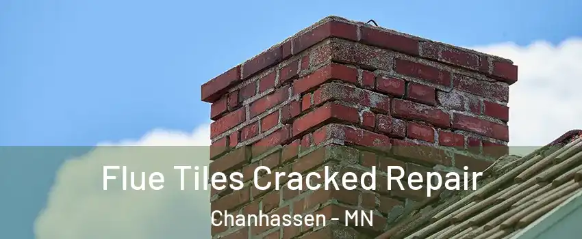  Flue Tiles Cracked Repair Chanhassen - MN