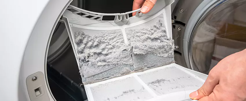 Best Dryer Lint Removal Company in Chanhassen, Minnesota
