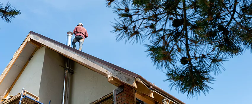 Birds Removal Contractors from Chimney in Chanhassen, MN