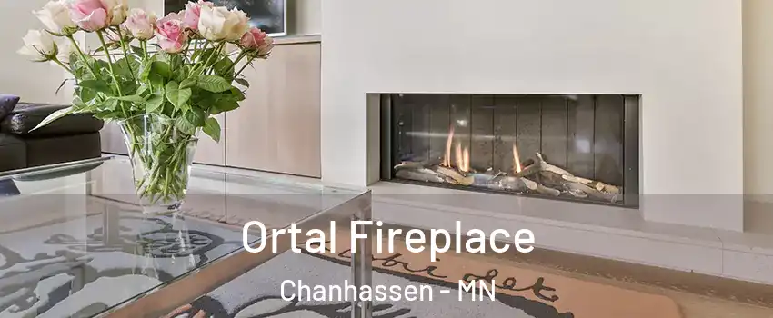  Ortal Fireplace Chanhassen - MN